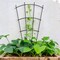 4-Pack 32" Indoor Plant Trellis – Fan-Shaped Metal Supports for Potted Plants, Climbing Flowers, Vines, Ivy, and Houseplants, Black